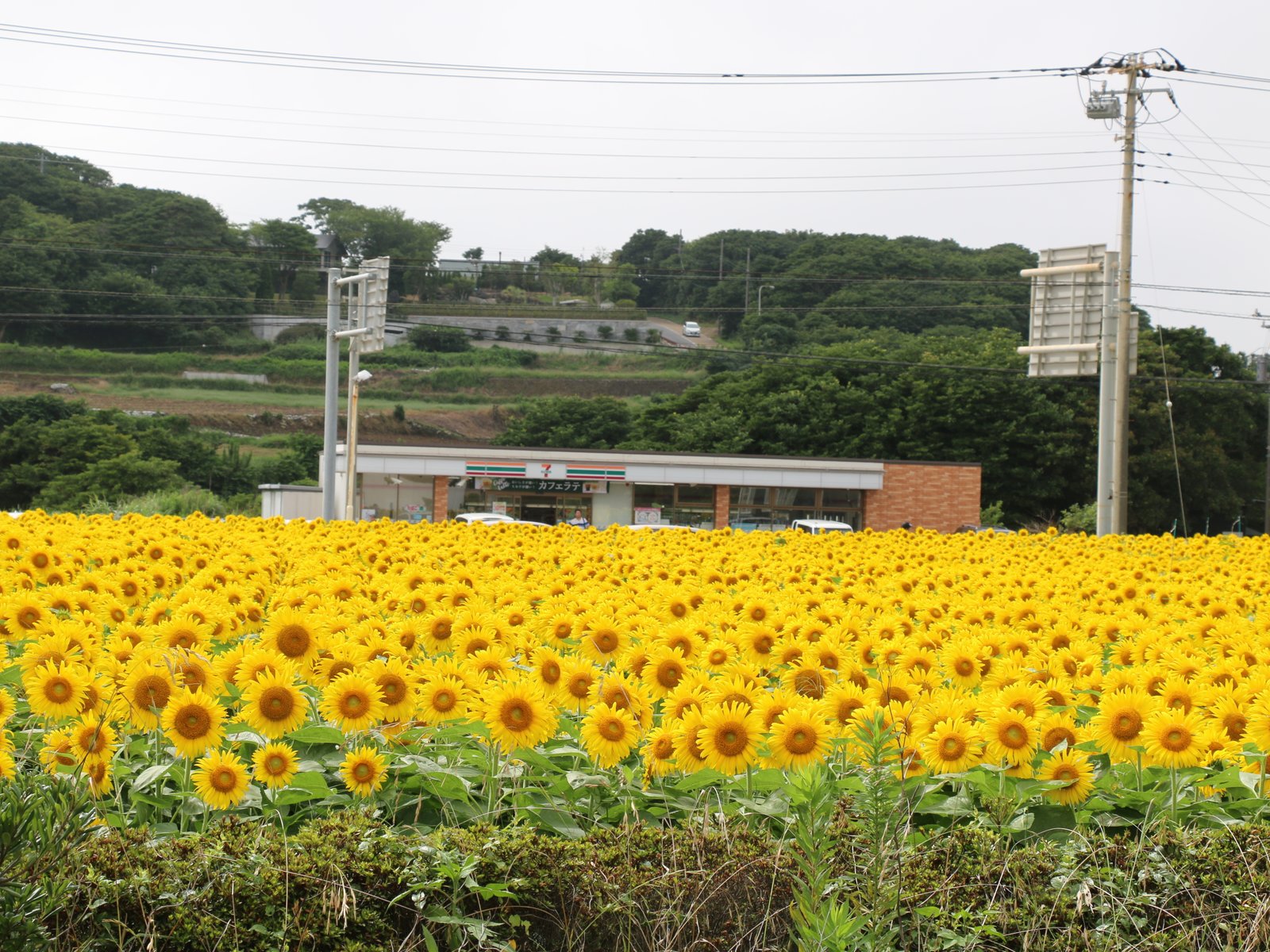 犬吠駅