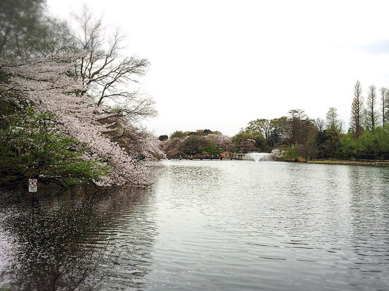 井の頭恩賜公園