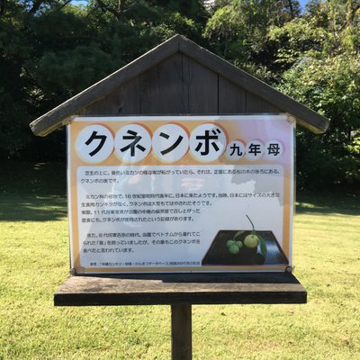 浜離宮恩賜庭園