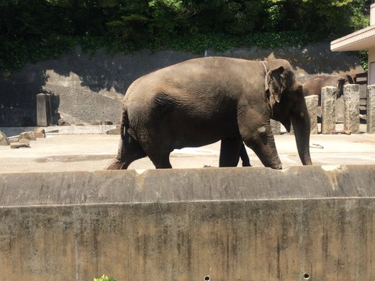 金沢動物園