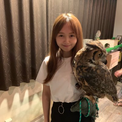 フクロウカフェ&バー 格闘梟