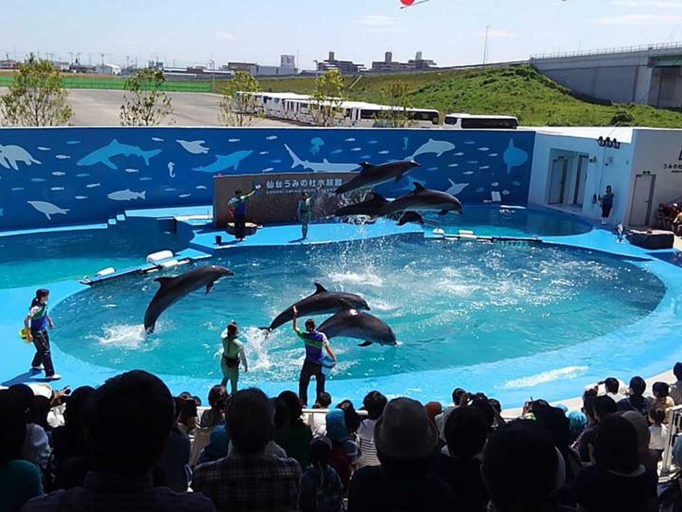 東北最大的水族館 仙台海美水族館 周邊信息介紹 Playlife 玩生活