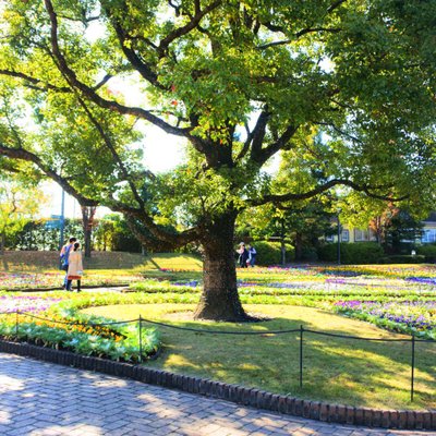 安城産業文化公園デンパーク