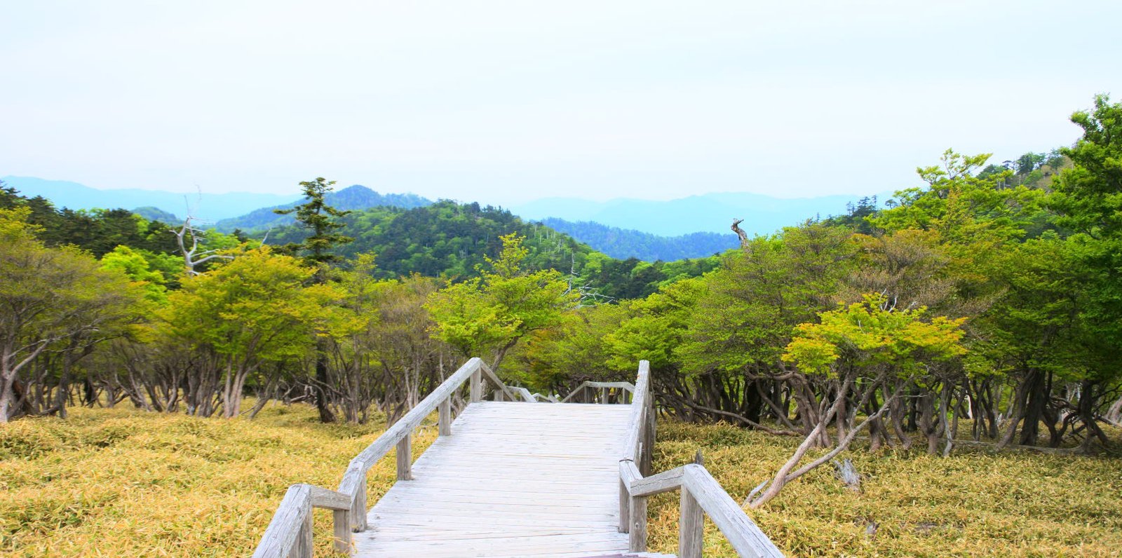 大台ケ原(日出ヶ岳)