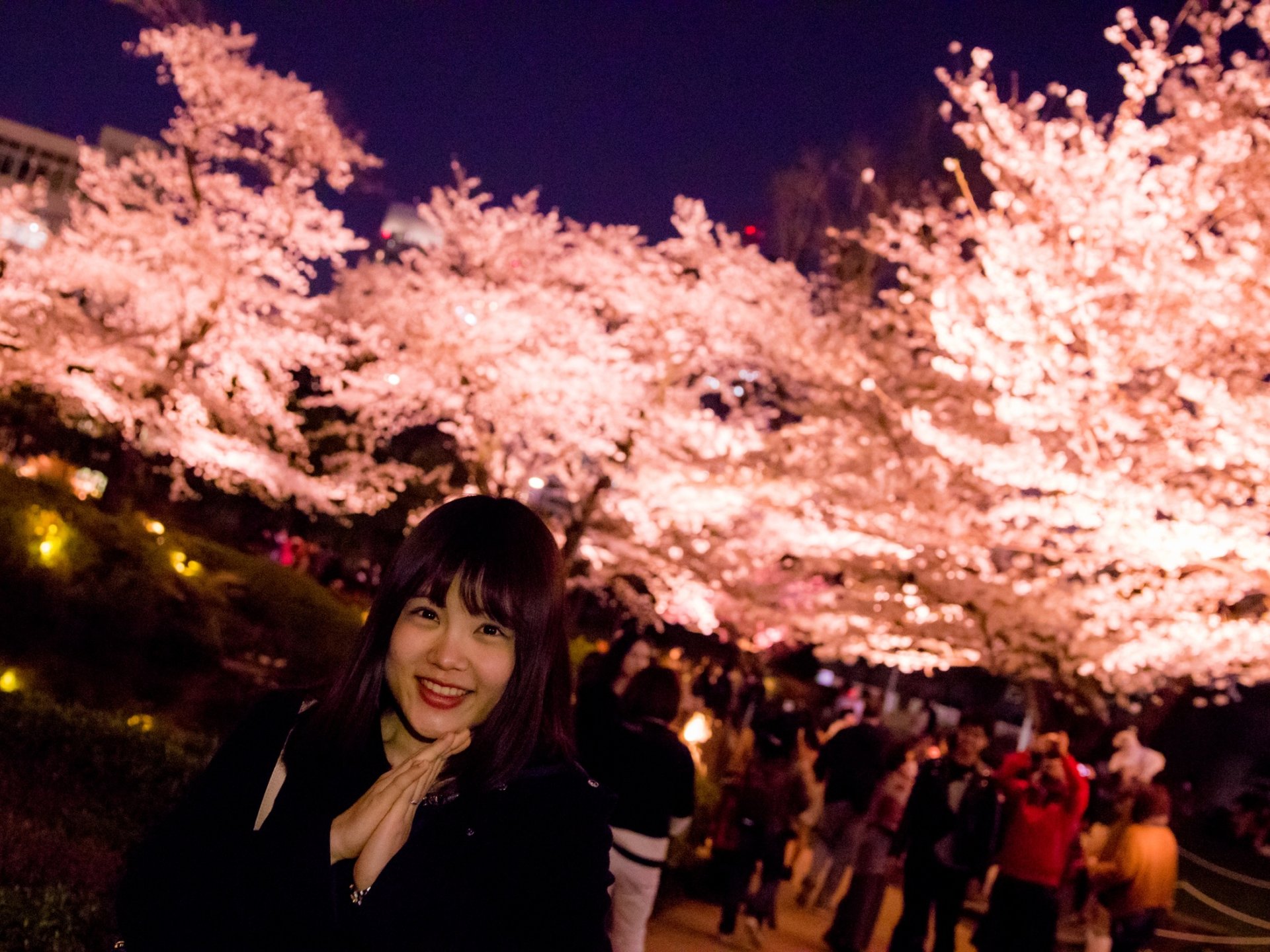 人に教えたくなる夜桜デート！六本木ヒルズ毛利庭園と東京ミッドタウンに急ごう♡