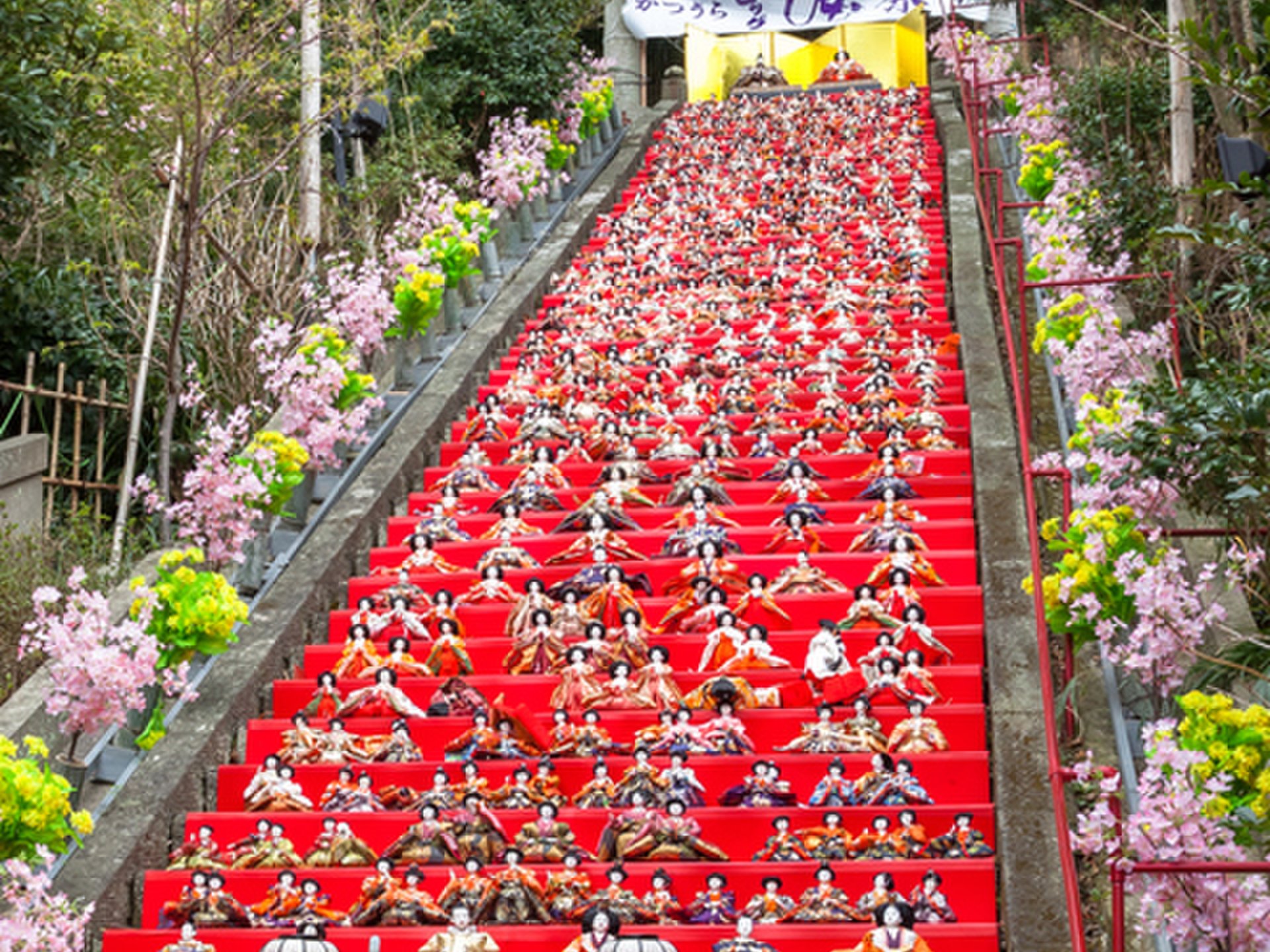 【3月イベント盛りだくさん特集♪】お雛様見所情報、お花見スポット、春休み旅行計画！3月もトコトン遊びまくろう☆