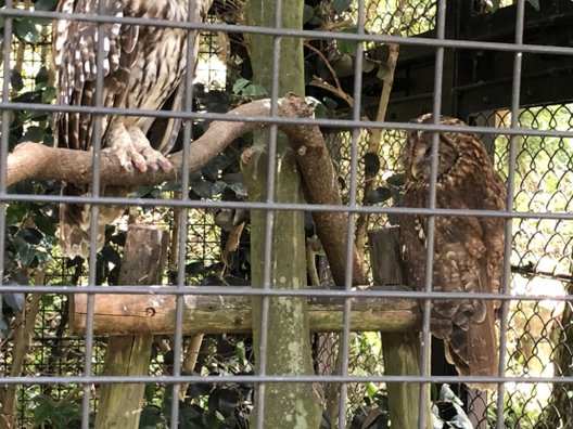 到津の森公園