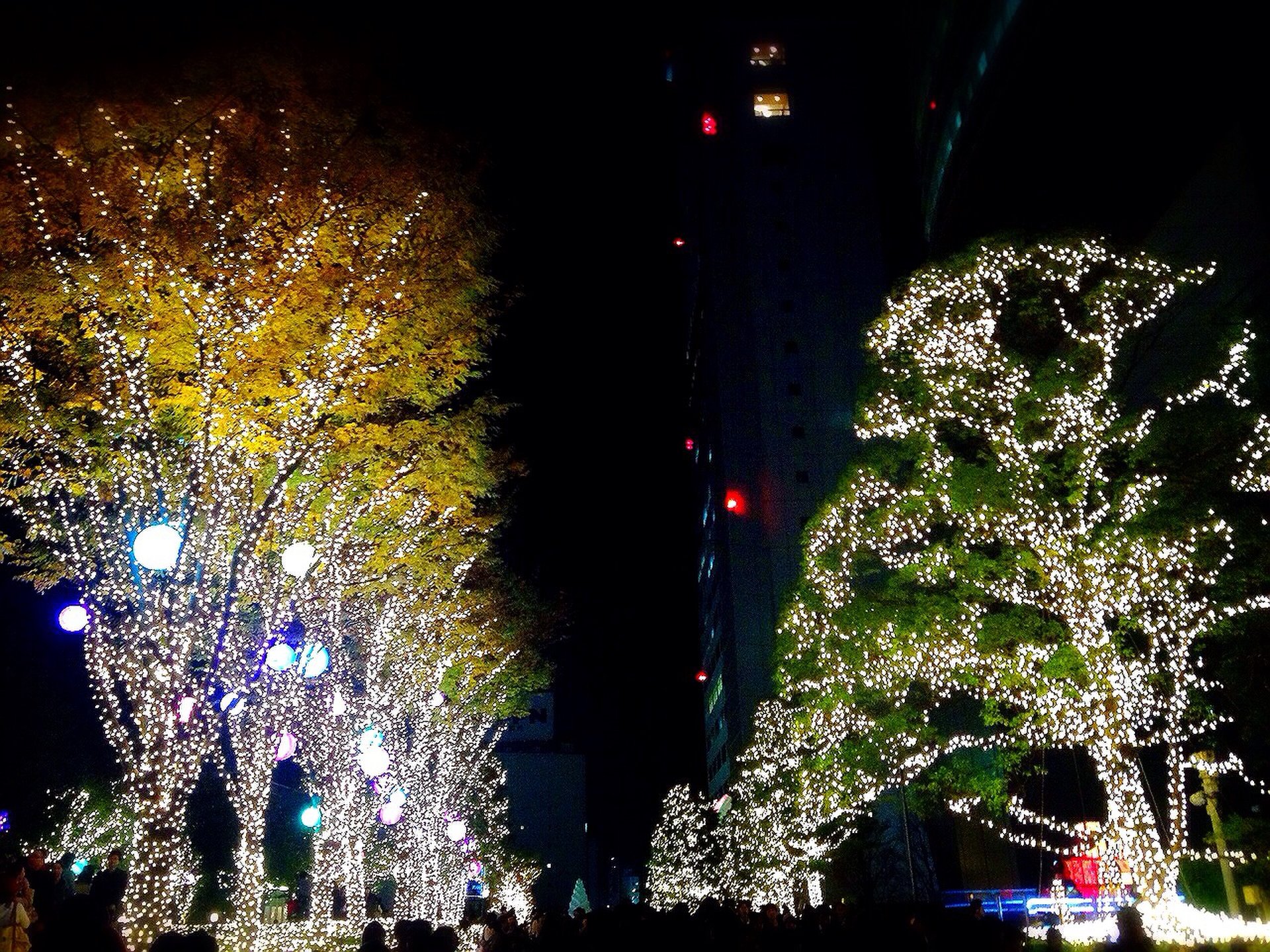 【新宿サザンテラスを通るおすすめデートコース！】季節限定のイルミネーションが楽しめる！