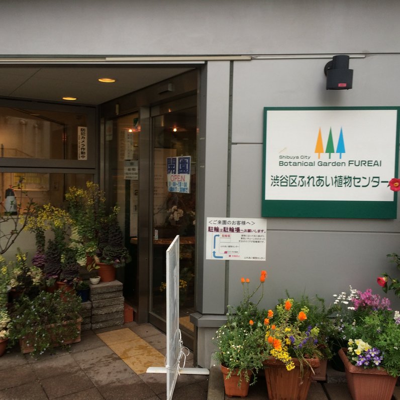 渋谷区ふれあい植物センター