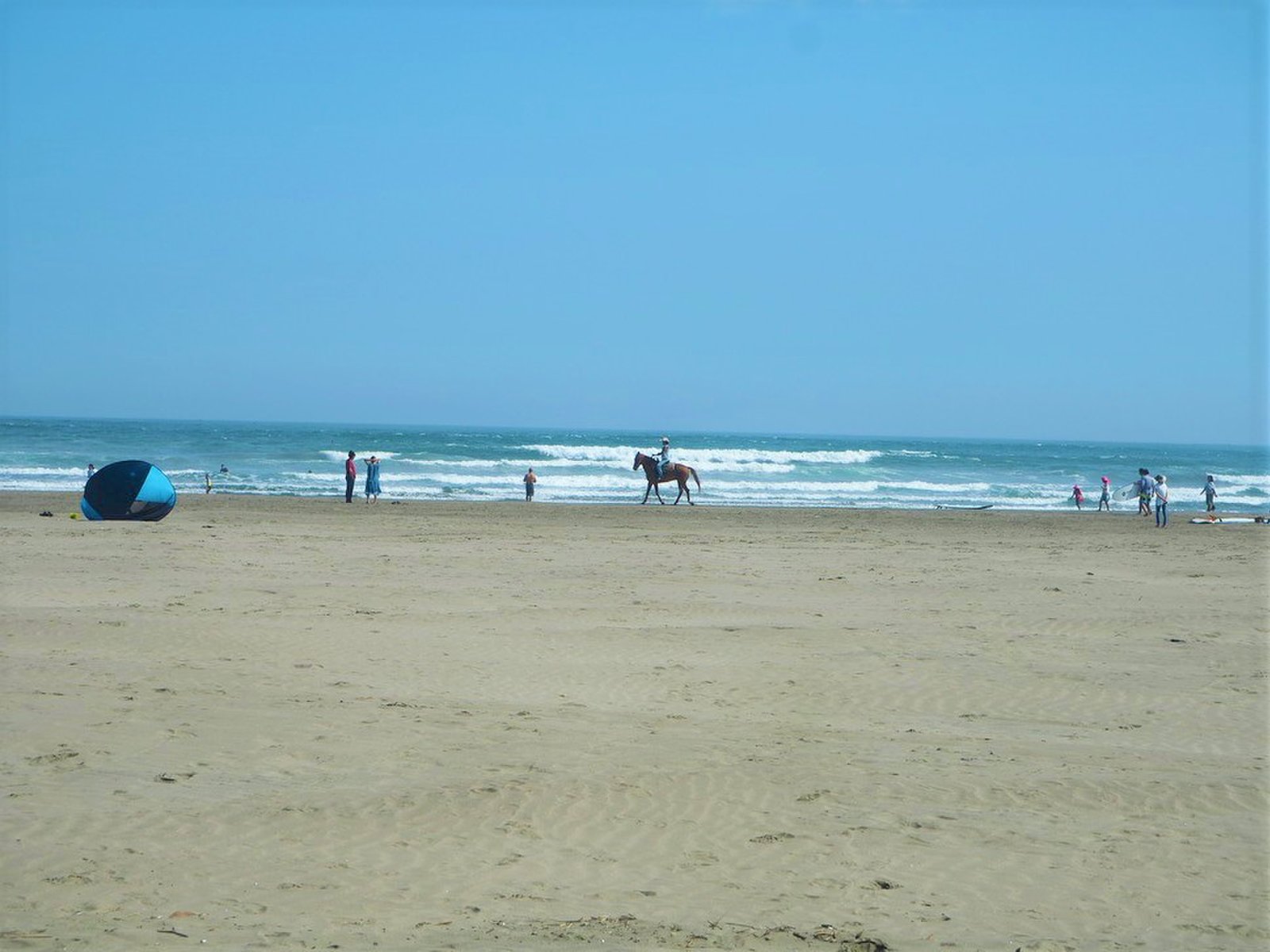 作田海水浴場