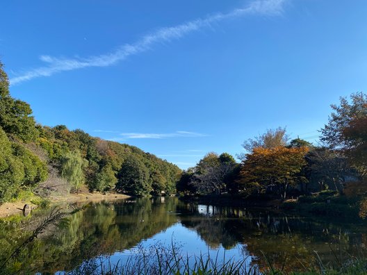 じゅん菜池緑地公園