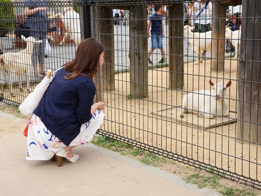 東武動物公園