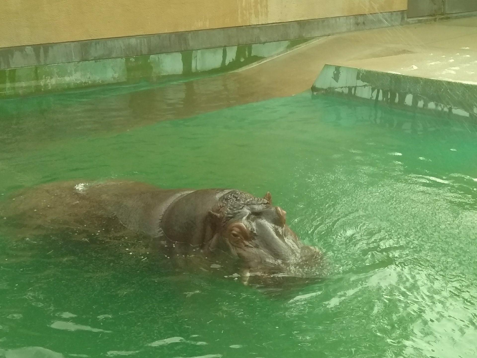 大人から子供まで楽しめる♪福岡市動物園へ