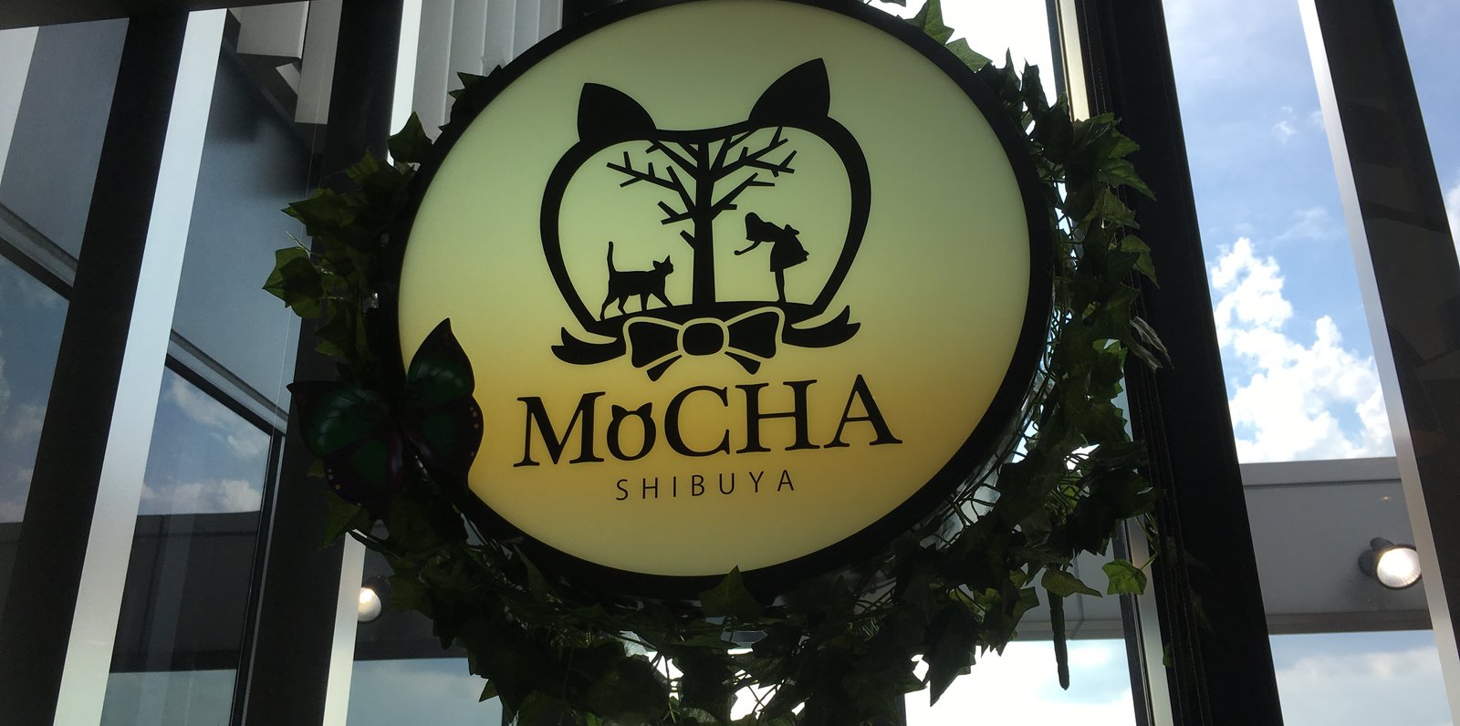 猫カフェMoCHA 渋谷店