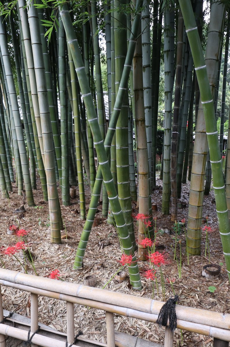 鷹見泉石記念館