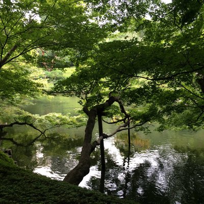 八芳園