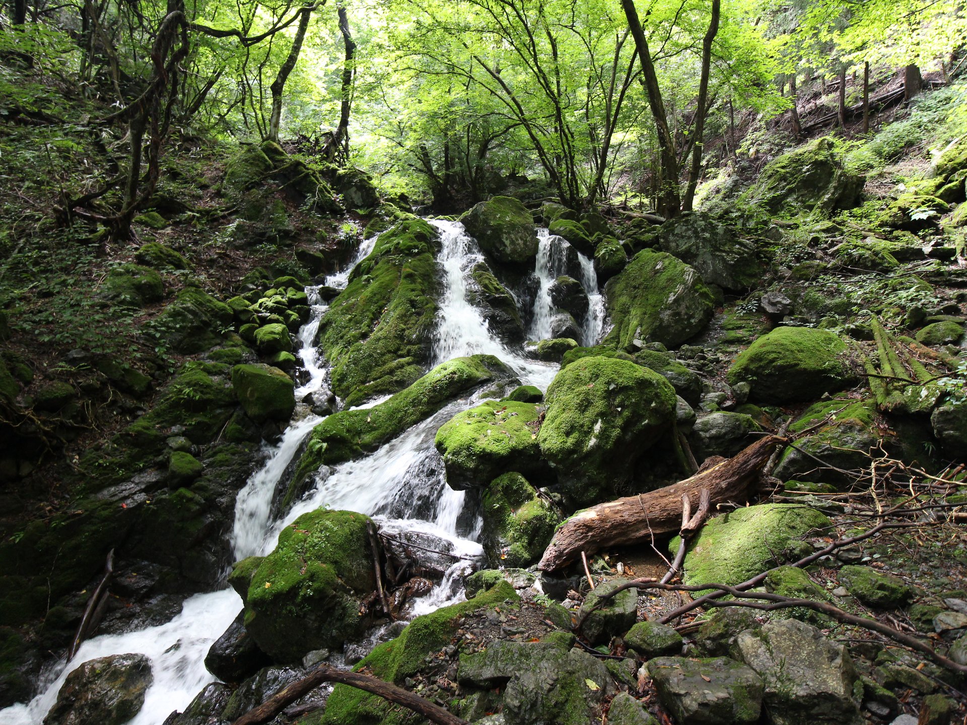 奥多摩・大岳山から御岳山へ登山、東京とは思えない大自然を満喫！【大岳鍾乳洞、小滝、大滝、大岳山荘】