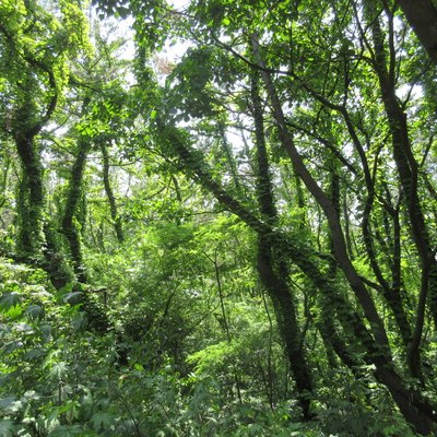 西海岸公園