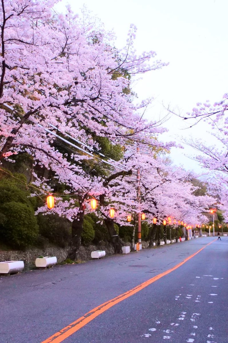 五月山公園