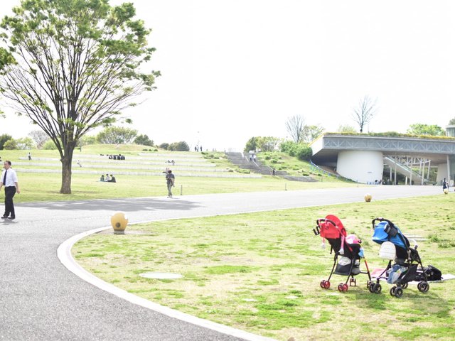 東京公園おすすめの公園選 敷地が広い順に紹介 Playlife プレイライフ