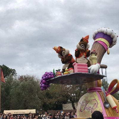 東京ディズニーランド(c)