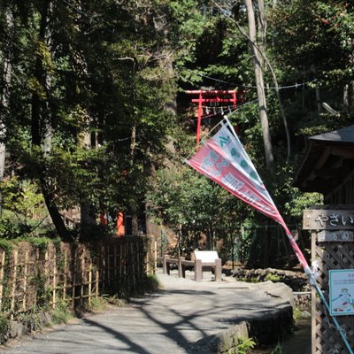 お鷹の道・真姿の池湧水群