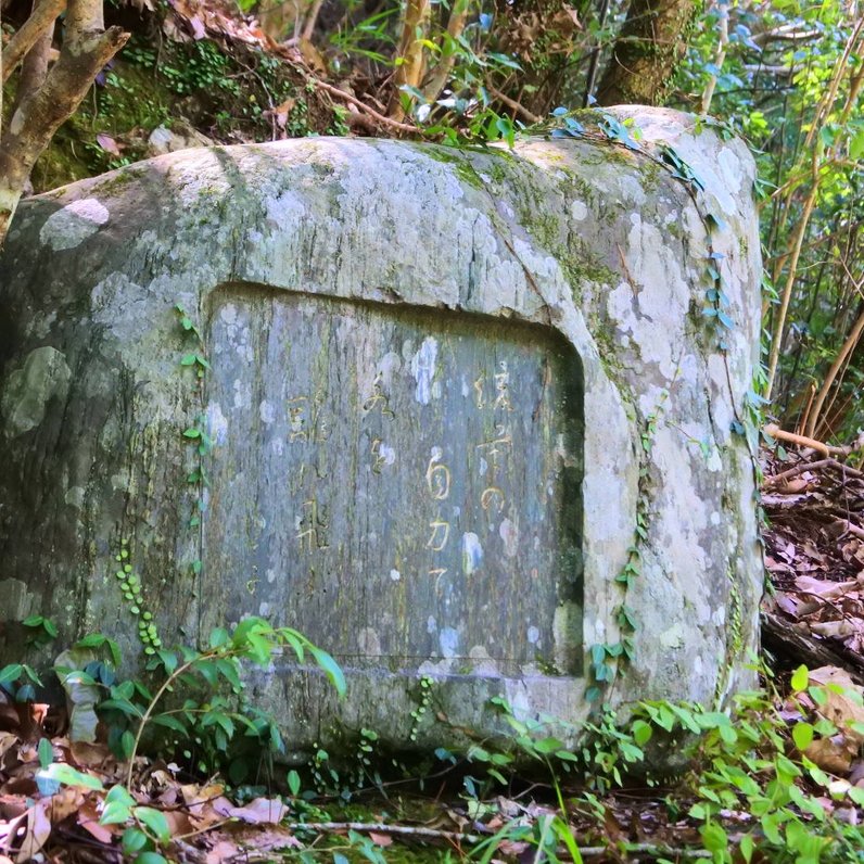 摂津峡 花の里温泉 山水館