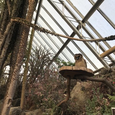 伊豆シャボテン動物公園