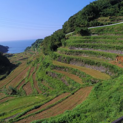 浜野浦の棚田展望台