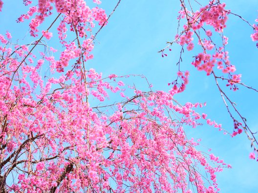 高見の郷 天空茶屋