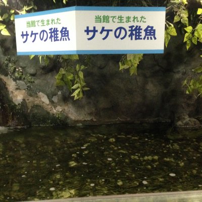 サンピアザ水族館