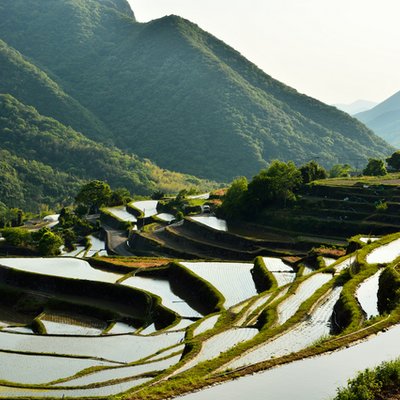 中山千枚田