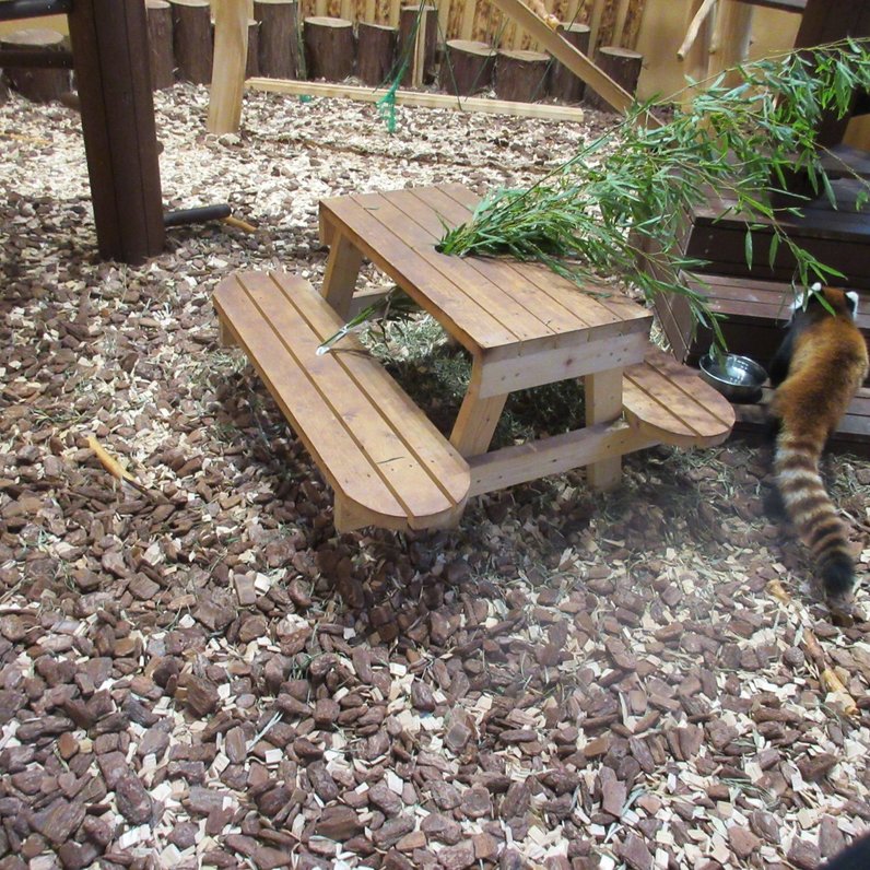 静岡市立日本平動物園レストハウス