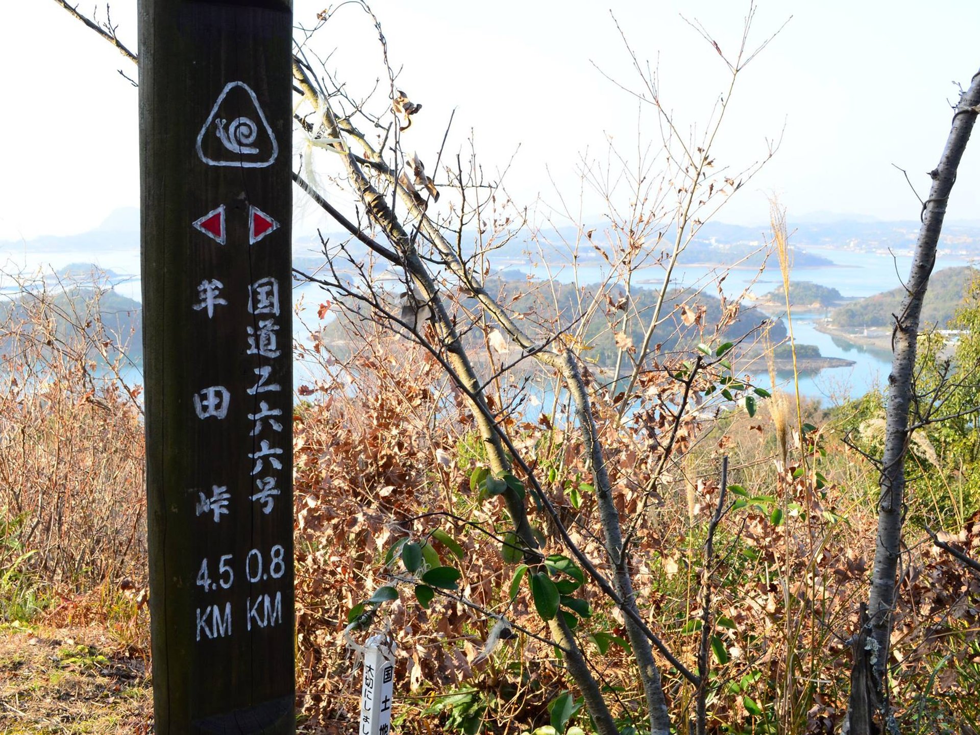 【熊本・天草諸島】頂上からの眺めが絶景！国指定の名勝"千厳山"で山登り！