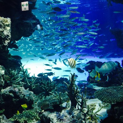 サンシャイン水族館