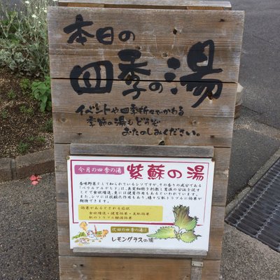 野天もくもくの湯