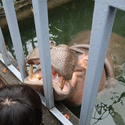 宇都宮動物園