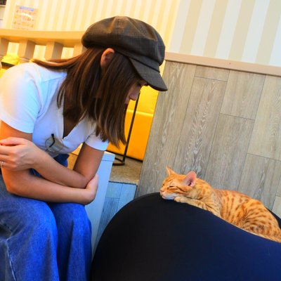 猫カフェ MOCHA 京都河原町店