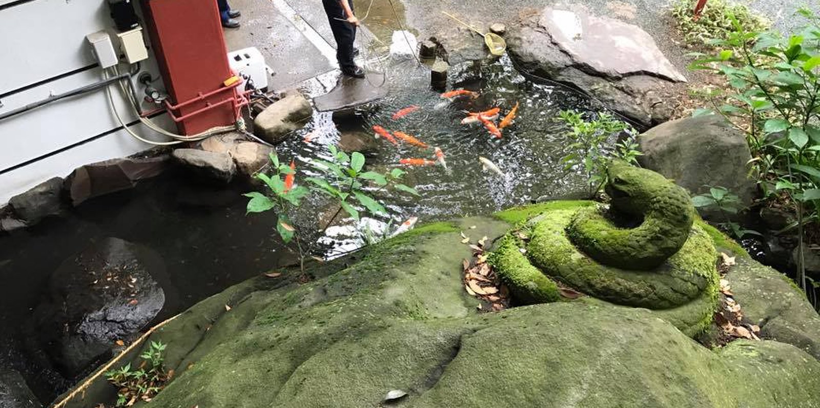 来宮神社