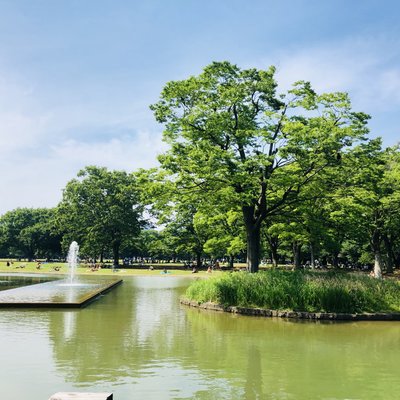 代々木公園