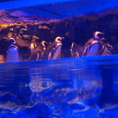 すみだ水族館