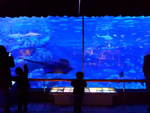 【閉園】神戸市立須磨海浜水族園