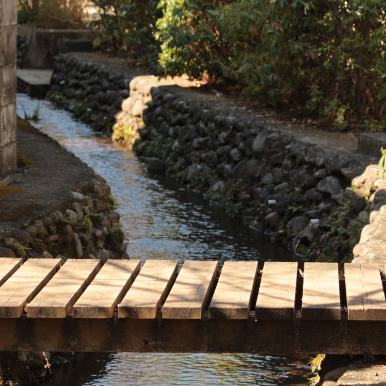 お鷹の道・真姿の池湧水群