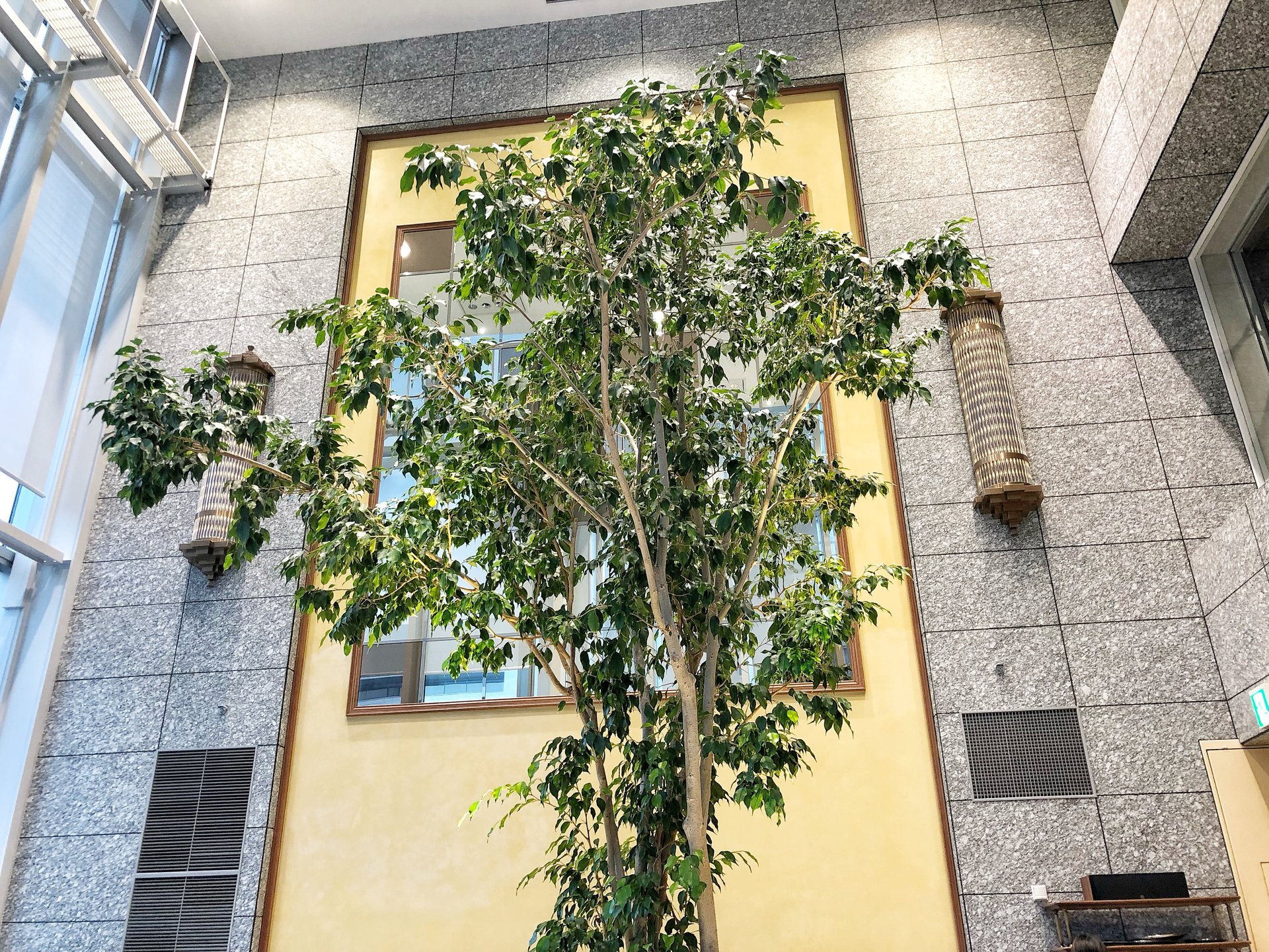 心斎橋を観光後‼︎梅田の大きなツリーがフォトジェニック♡大阪駅おすすめカフェへ