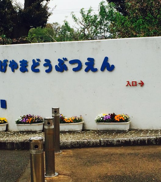 野毛山動物園