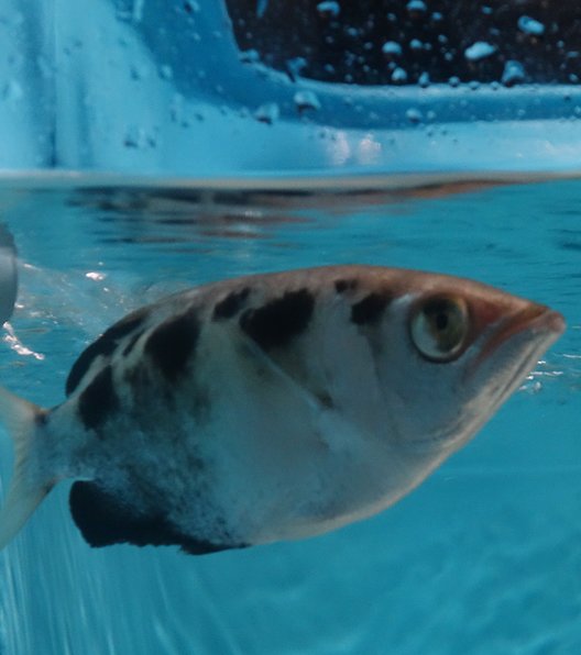 サンシャイン水族館