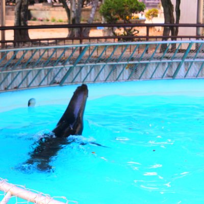 姫路市立動物園