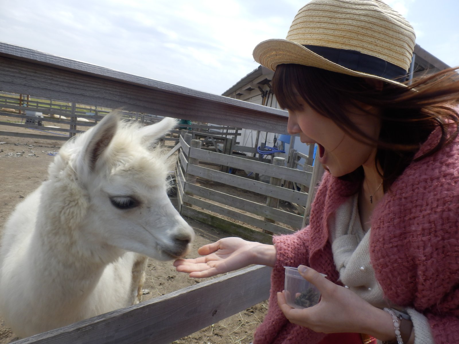 長井海の手公園ソレイユの丘