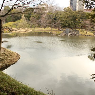 小石川後楽園 大泉水 