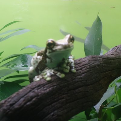 サンシャイン水族館